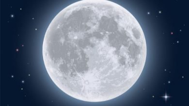 في الليل يضيء القمر. الفاعل في الجملة هو السماء يضيء القمر بيت العلم