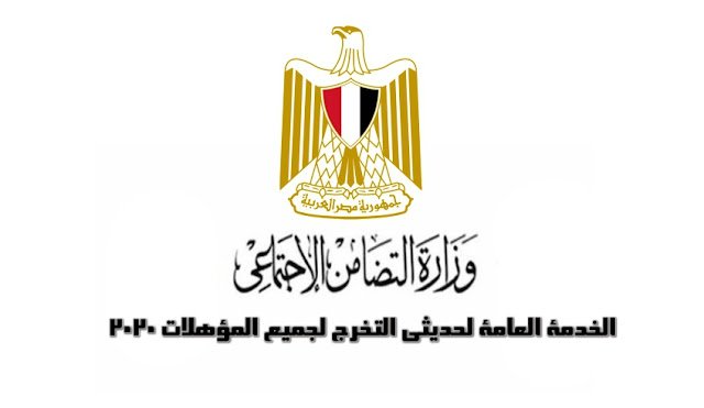 الخدمة العامة