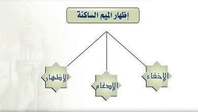 الميم الساكنة هي الميم التي لا حركة لها