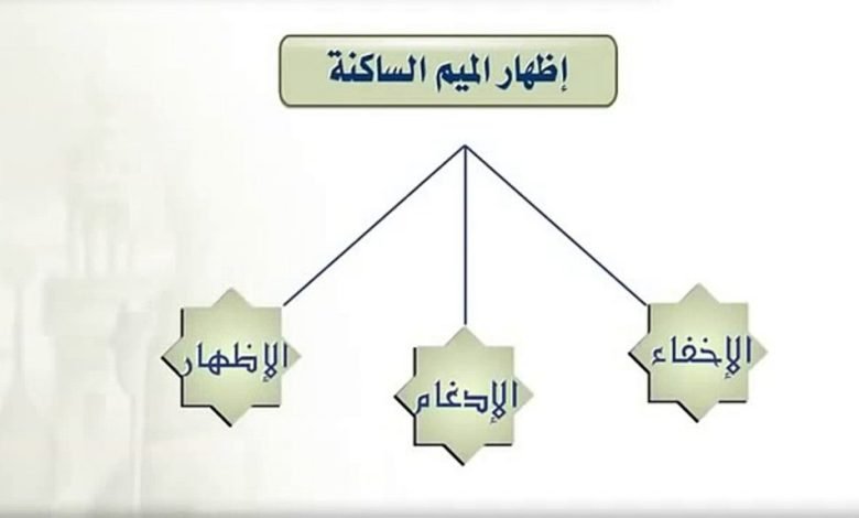 الميم الساكنة هي الميم التي لا حركة لها