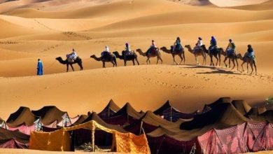 كم كان عدد جيش قريش في غزوة بدر