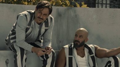 كم عدد حلقات مسلسل الوسم بطولة قصي خولي ؟
