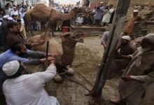 متى موعد اجازة عيد الاضحى في الجزائر لعام 2022