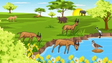 أي من الآتي يُعد عاملاً لاحيويًا في النظام البيئي؟