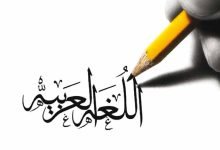 ما نجح ميكوموتو في بادئ الأمر لفقده الخبرة في علم الأحياء هذه جملة