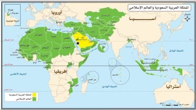 تمثل مساحة العالم العربي والإسلامي بالنسبة إلى مساحة العالم