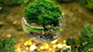 إنشاء عن البيئة للصف الأول متوسط كامل بالعناصر