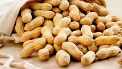 ما هو اسم السبال المملح بالاماراتي ؟