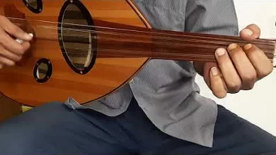 كلمات اغنية انا ودي اذا ودك