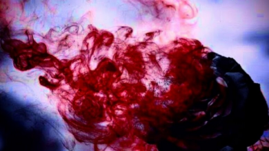 رواية 1734 لورين و جونغكوك pdf كاملة