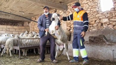 متى عيد الأضحى 2022 في المغرب