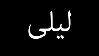 كلمات اغنية ليلى التركية بالعربي