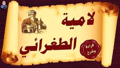 شرح قصيدة لامية الطغرائي pdf كاملة