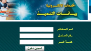 وزارة التربية والتعليم الحكومة الالكترونية بيانات التلميذ في مصر