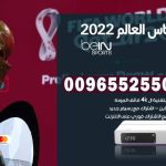 سعر اشتراك بين سبورت كاس العالم 2022 في مصر