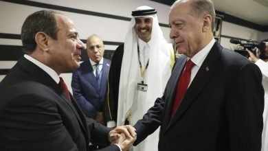 مصافحة تاريخية بين الرئيس المصري عبد الفتاح السيسي واردوغان