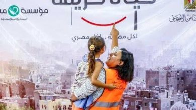 بحث عن مبادرة حياة كريمة واثرها على تنمية قرى مصر pdf