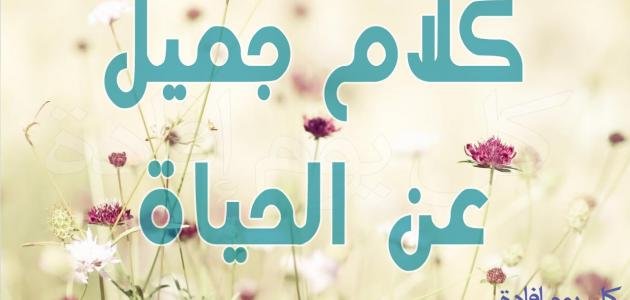 عبارات جميلة قصيرة عن الحياة