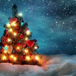 إلى ماذا ترمز شجرة عيد الميلاد عند المسيحيين ؟