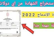 طريقة استخراج شهادة الاندماج من اي دولات