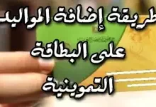 الاوراق المطلوبة لاضافة المواليد لبطاقة التموين بمصر