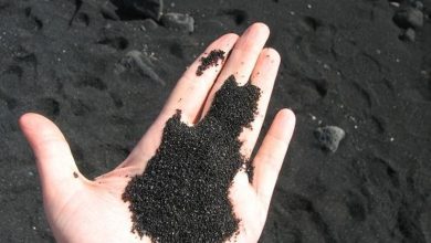 بحث عن الرمال السوداء pdf
