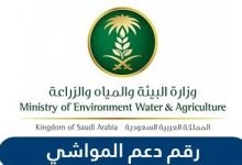 رقم دعم المواشي في السعودية
