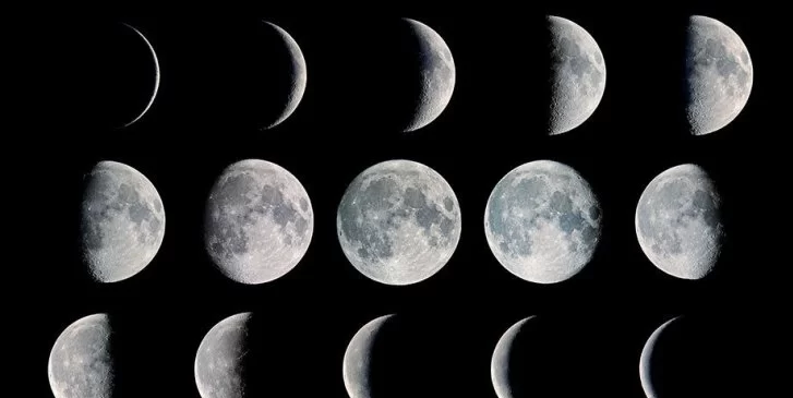 يظهر القمر بأطوار مختلفة بسبب دوران الأرض حول الشمس. صواب خطأ