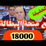 حقيقة زيادة منحة البطالة 2023 بالجزائر