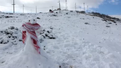 توقعات الثلوج في الأردن 2023