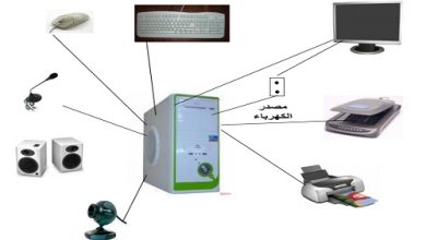 تحميل كتاب الحاسوب للصف الأول ابتدائي ليبيا pdf