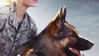 شاهد فيلم megan leavey ترجم كامل على ايجي بست