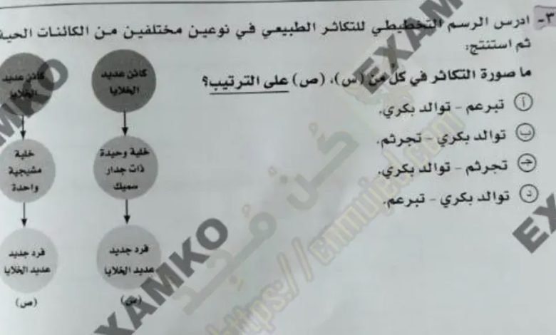 امتحان الاحياء ثانوية عامة 2022 pdf في مصر