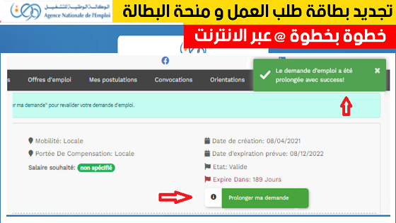 تجديد طلب العمل anem wassit في الجزائر
