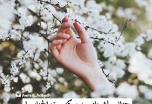 حنانيك يامن سكنت الحنايا وحملت قلبي جميع الرزايا mp3