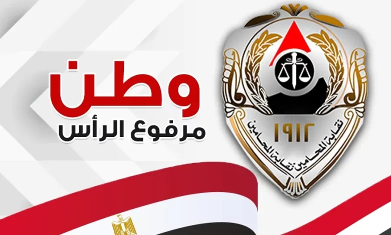 دليل علاج نقابة المحامين 2023 pdf في مصر
