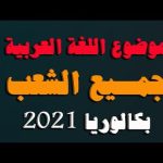 حل موضوع اللغة العربية بكالوريا 2022 شعبة لغات أجنبية