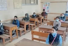 نسبة النجاح في البيام 2023 بالجزائر