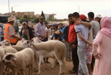 خطبة عيد الأضحى قصيرة ومؤثرة 2023