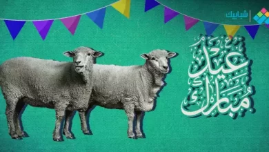موعد وقفه العيد الكبير 2023 في مصر