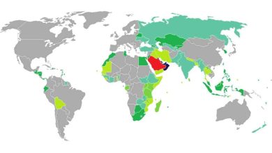 الدول التي يدخلها الجواز السعودي بدون فيزا