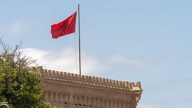 شاهد: روتيني اليومي مع نادية المراكشية