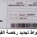 تجديد رخصة القيادة الشخصية فوري في مصر