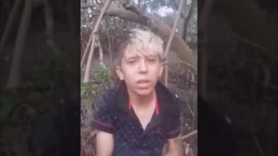 شاهد فيديو الطفل البرازيلي الذي تم تقطيعه وهو حي كامل