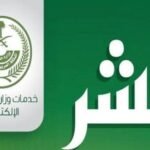 الاستعلام عن صلاحية الإقامة
