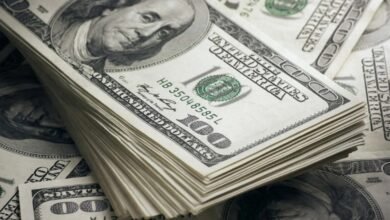 سعر الدولار مقابل الجنيه المصري اليوم