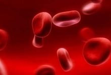 ماهو الجزء الذي لا يصله الدم في جسم الإنسان