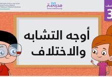 مخطط يوضح أوجه الشبه والاختلاف بين الأشياء المختلفة