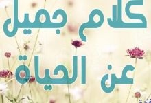 عبارات جميلة قصيرة عن الحياة