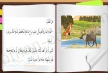 حل درس مخ الوعل للصف الرابع